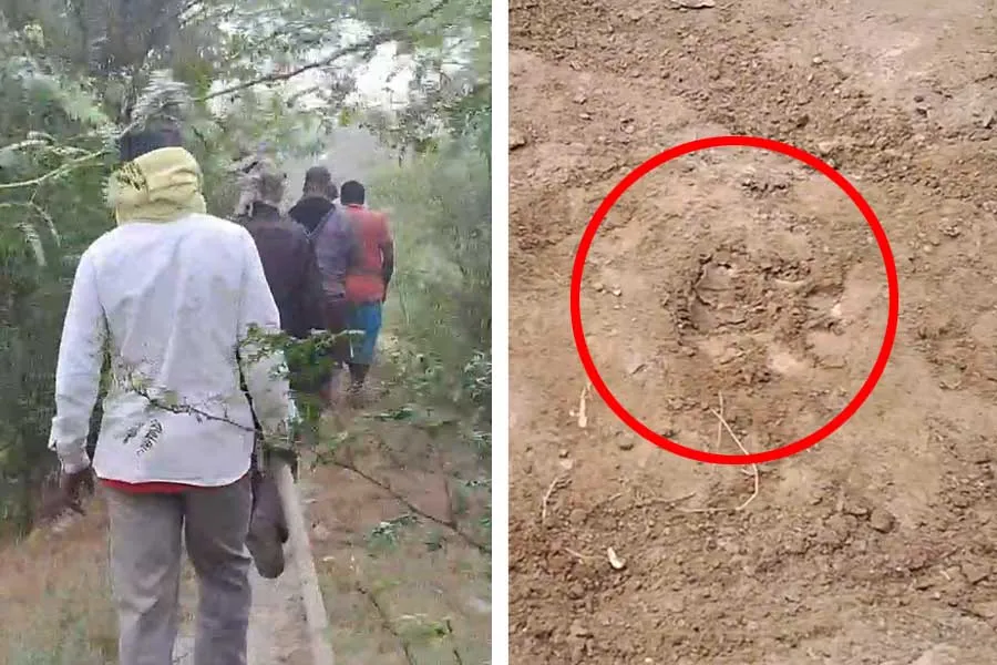 अब बंगाल के सुदूरवर्ती सुंदरबन के गांव में बाघ का आतंक
