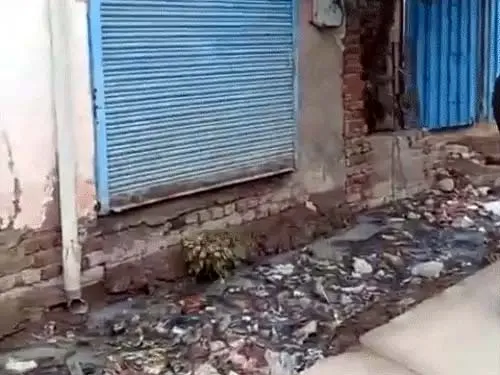 नशे में धुत्त युवक की नाले में गिरने से मौत
