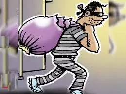डिलीवरी ब्वॉय बनकर आए बदमाश ने की चोरी