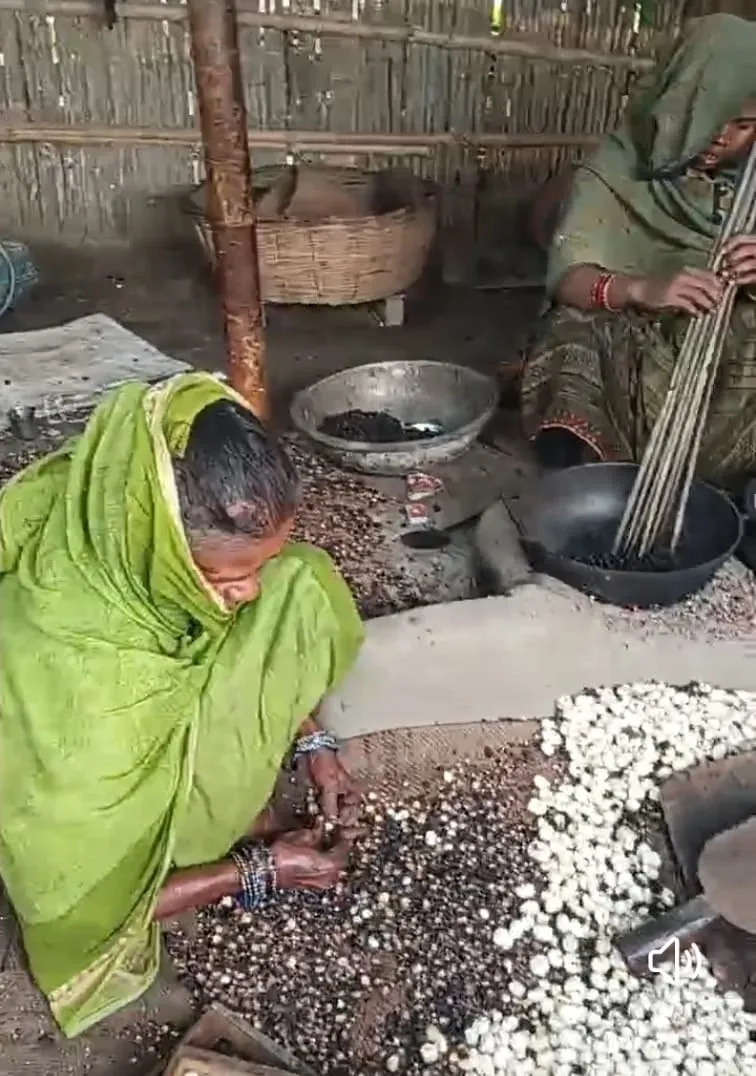 सुपर फूड के रूप में वैश्विक ग्लोबल प्रोडक्ट बना मखाना