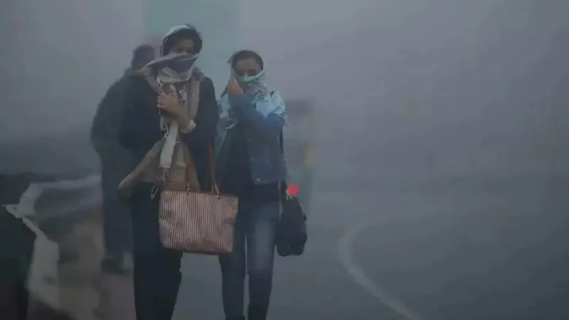 भोपाल,इंदौर,ग्वालियर सहित प्रदेश में कड़ाके की ठंड का प्रकोप जारी