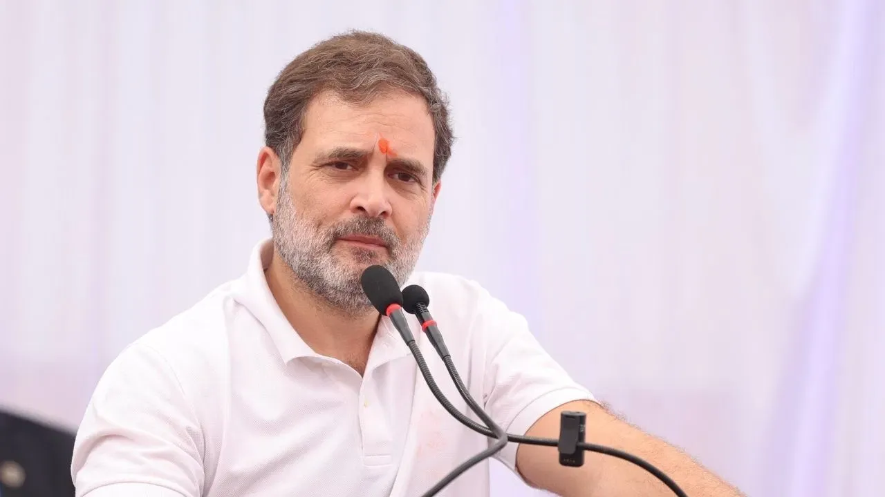 राहुल गांधी ने चिंता जताते हुए कहा,बड़े पदों पर कमजोर वर्ग की हिस्सेदारी सुनिश्चित हो