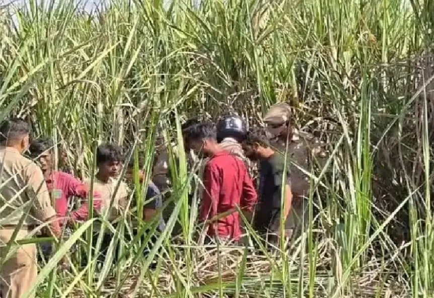 गोंडा में पांच दिन से लापता युवती की गन्ने के खेत में मिली लाश, प्रेम प्रसंग में हत्या की आशंका