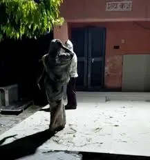  दोस्त की खातिर महिला ने पुलिस कर्मियों से लिया लोहा, मधुमक्खियों से कटवाया