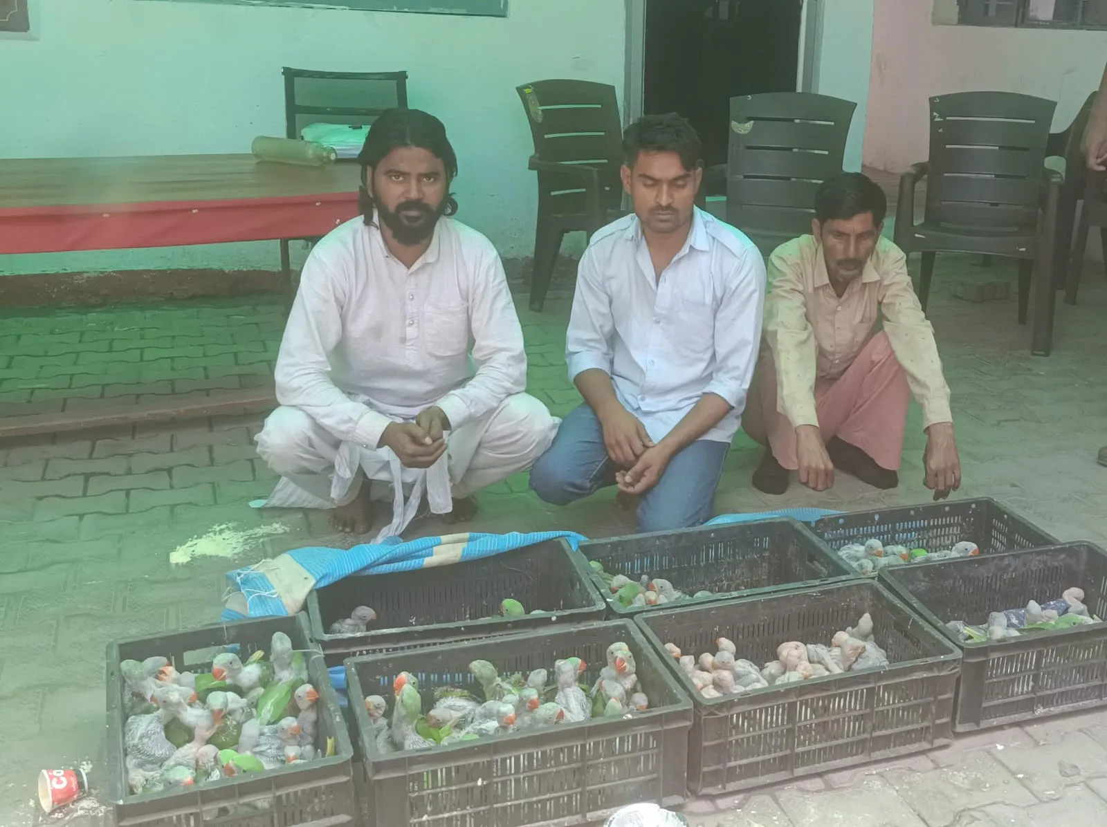 बागपत: 170 दुर्लभ प्रजाति के तोते बरामद, तीन तस्कर गिरफ्तार, साथी मौके से फरार