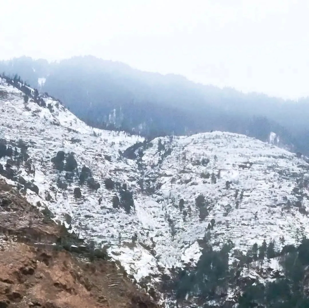 प्रदेश में ओलावृष्टि से फसलों को नुकसान, अगले दो दिन फिर ओरेंज अलर्ट
