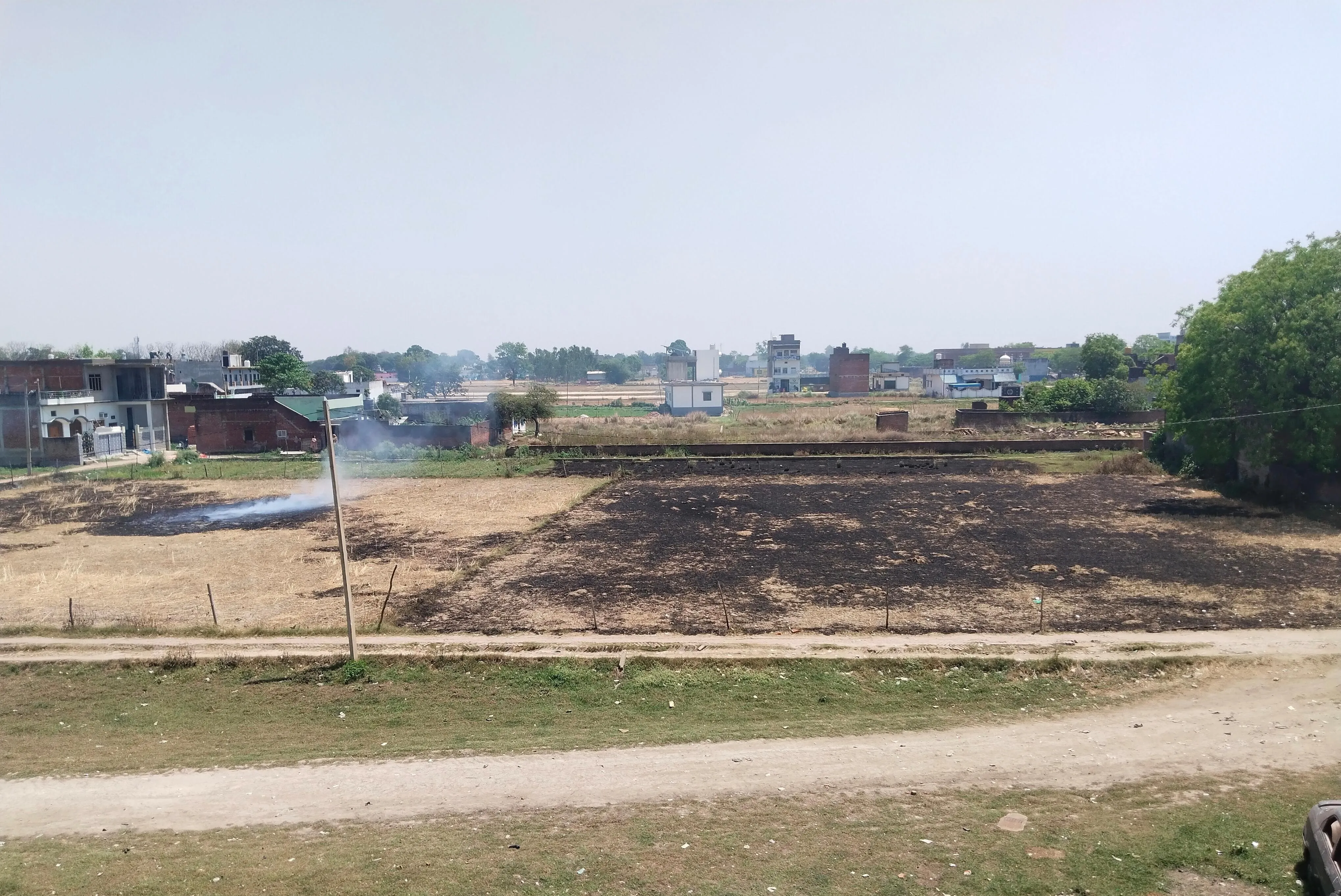 गेहूं की कटाई चरम पर,आग लगने का खतरा बढ़ा,पकी फसल बचाने की होड़ तेज