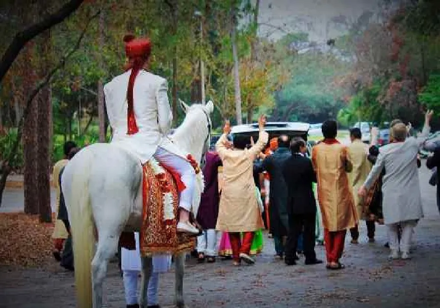  बग्घी पर बेहोश हुआ दूल्हा: तिलक से पहले मचा हड़कंप, दुल्हन ने ठुकराई शादी