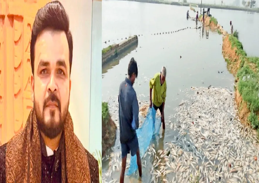 मछलियों को स्लॉटर कचरा और मृत पशु खिलाने पर पूर्ण प्रतिबंध