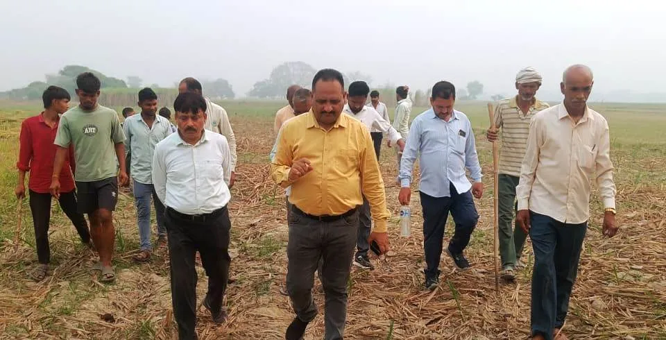 गन्ना प्रजाति पर विशेष ध्यान दें फील्ड सुपरवाइजर - डॉ० जेपी त्रिपाठी 