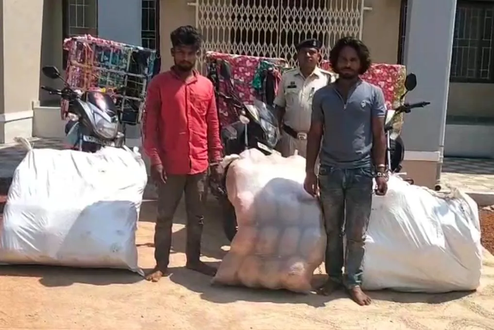 गांजा तस्करी का भंडाफोड़: 12 अंतरराज्यीय तस्कर गिरफ्तार, एक करोड़ से अधिक का माल जब्त