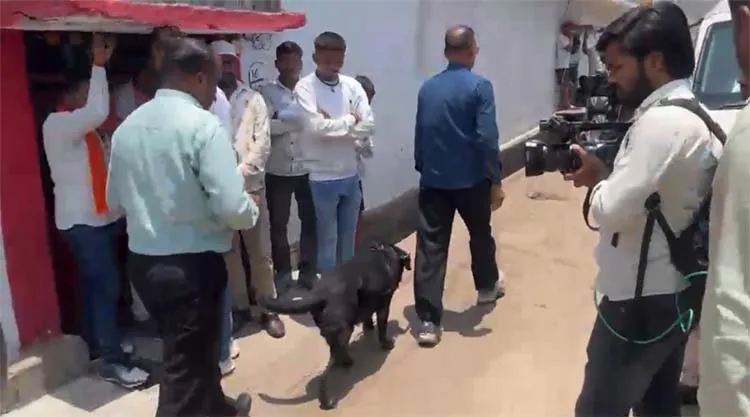   राजधानी में बम मिलने से सियासत गरमाई, साव ने कहा-विपक्ष प्रदेश में अशांति फैलाने की काेशिश कर रहा