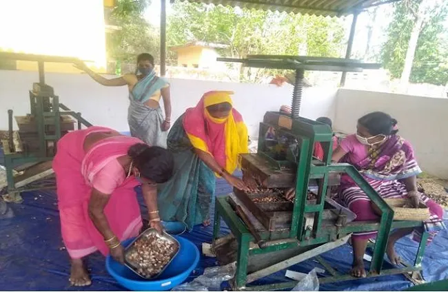  न्यूजीलैंड का प्रतिनिधिमंडल आज करेगा बैतूल के नंदा वन धन विकास केंद्र