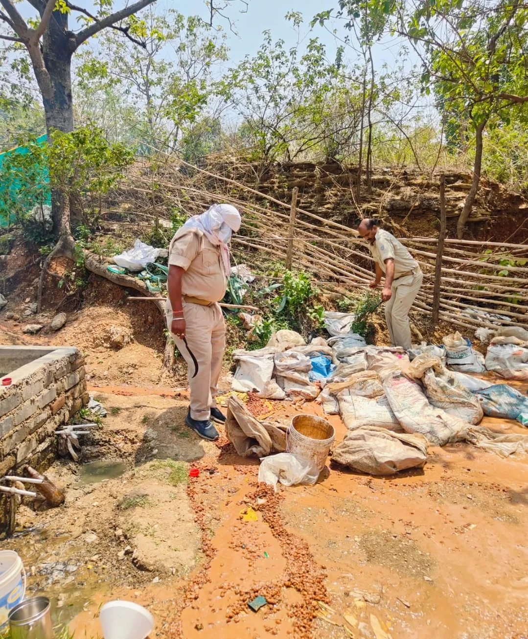 उत्पाद विभाग की छापेमारी में अवैध शराब भट्टी ध्वस्त, एक गिरफ्तार, अन्य मौके से फरार