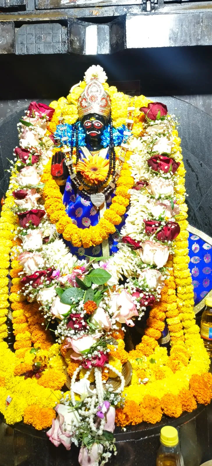बाबा बैधनाथ धाम में शनि महाराज का 25वां वार्षिक पूजा और शनि जन्मोत्सव 16 को