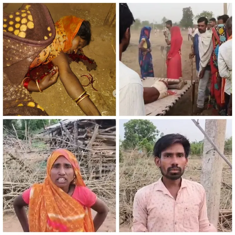  बांधवगढ़ टाइगर रिजर्व में बाघ के हमले से महिला की मौत, ग्रामीणों का फूटा गुस्सा