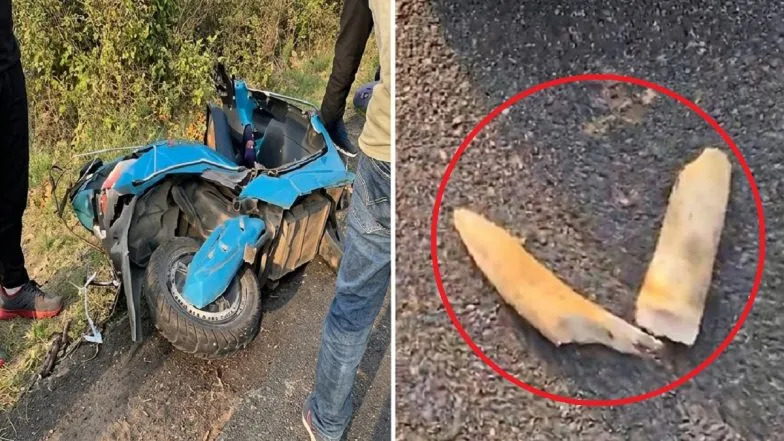 महिला से टकराकर हाथी के दांत टूटे, 'अब हाथी भी सेफ नहीं'