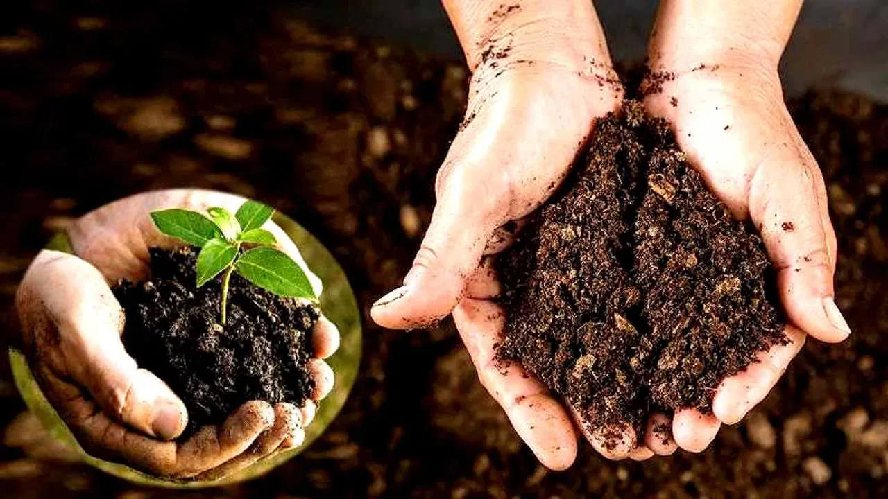 गोबर खाद लेकर किसान दे सकेंगे भूसा,नई व्यवस्था लागू