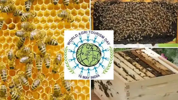 वर्ल्ड एग्री टूरिज्म डे पर बच्चों ने जाना मधुमक्खी पालन का महत्व