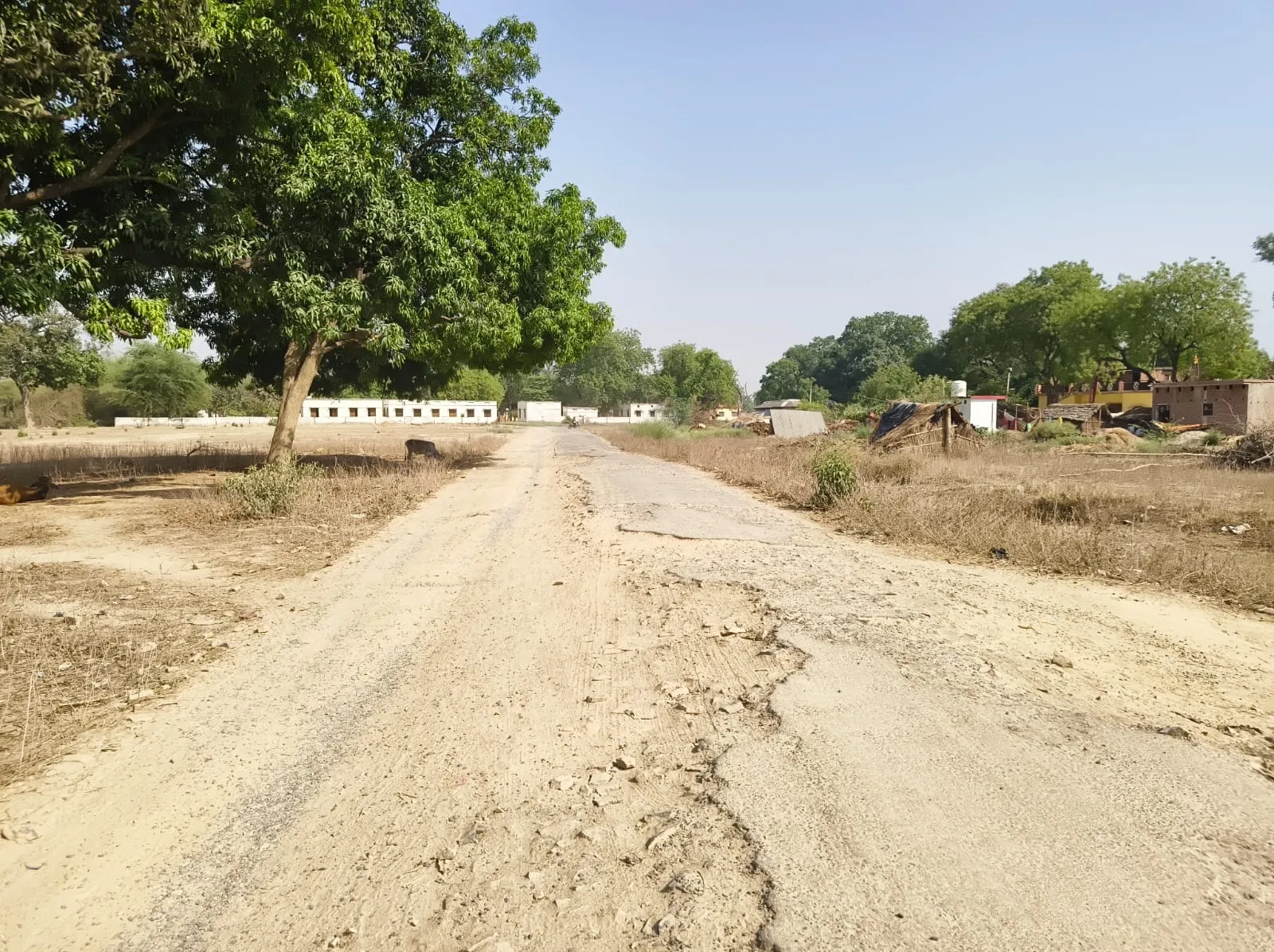 10 वर्षों में भी नहीं बन सका मार्ग, जर्जर सड़क से रोज गुजर रहे हजारों राहगीर