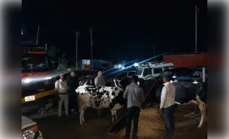 गोवंश से भरा ट्रक जब्त, महाराष्ट्र ले जाया जा रहा था,चार तस्कर गिरफ्तार