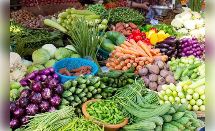  मप्र सब्जी उत्पादन में देश में तीसरे स्थान पर पहुंचा