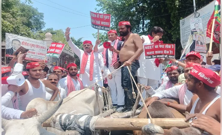  महंगाई, बेरोजगारी लेकर बैल गाड़ी पर निकले सपा कार्यकर्ता, भाजपा सरकार के खिलाफ किया प्रदर्शन