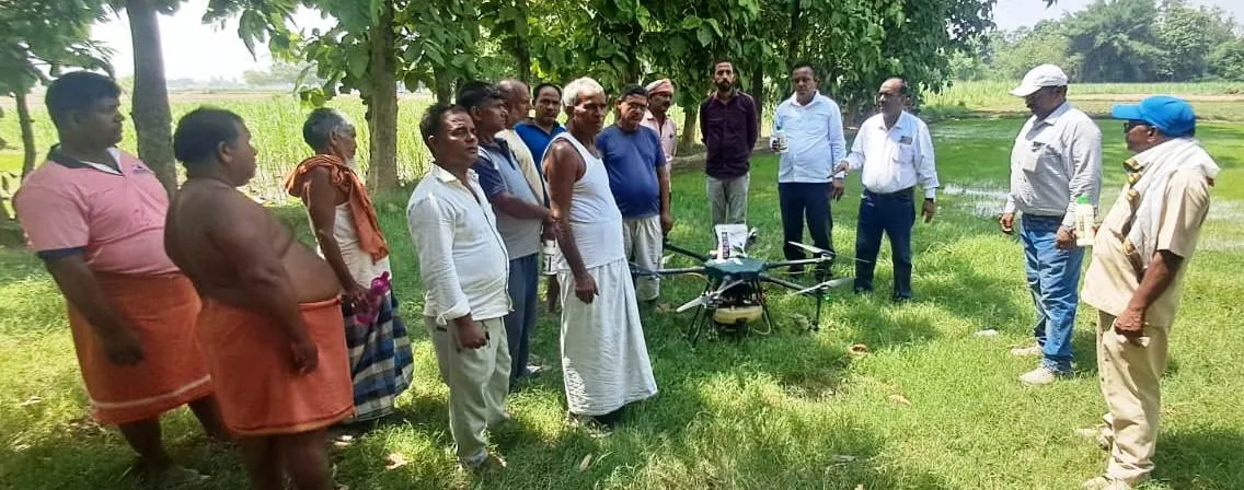 ड्रोन से छिड़काव कर किया पेड़ी और पौधों को रोग एवं कीट से बचाव  