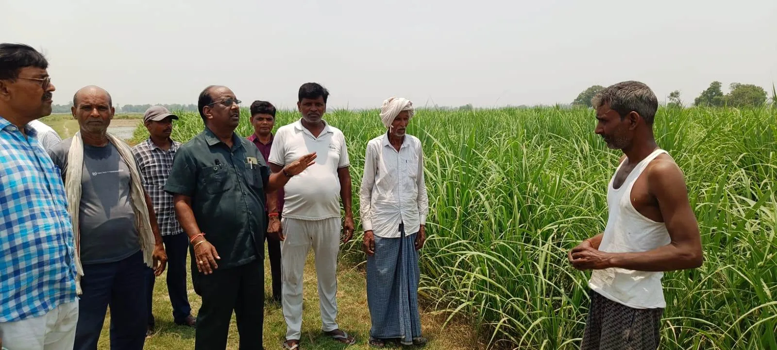 सामान्य से कहीं अधिक तापमान, कृषक अपने गन्ना प्लांट की करें सिंचाई - लवकुश सिंह चौहान