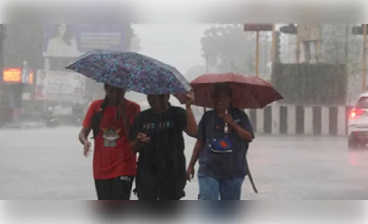 मध्य प्रदेश में मानसून की दस्तक अब करीब, 2-3 दिन में होगी एंट्री, आज 42 जिलों में आंधी-बारिश का अलर्ट
