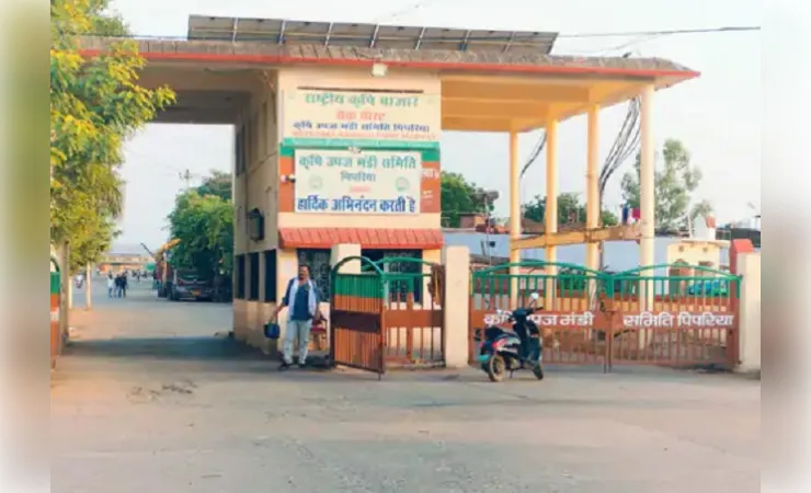 मंडी टैक्स बढ़ाने पर भड़के व्यापारी, सरकार के फैसले के खिलाफ राज्यव्यापी विरोध