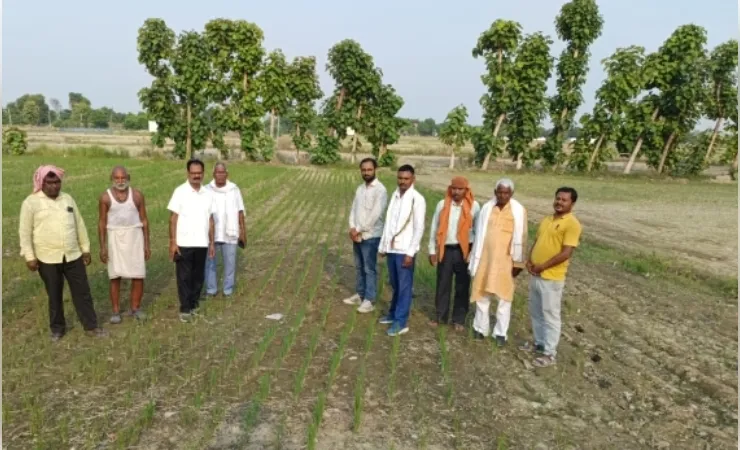 प्रगतिशील किसान के तीन एकड़ प्रक्षेत्र में डीएसआर पद्धति से करायी गई धान की बुवाई