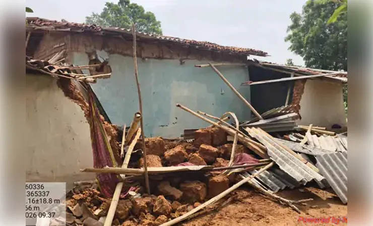 छत्तीसगढ़ के रायगढ़ में जंगली हाथियों का आतंक, छह ग्रामीणों के कच्चे मकानाें काे किया क्षतिग्रस्त