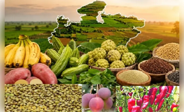 देश में पहली बार मध्य प्रदेश की 12 उद्यानिकी फसलों को मिला जीआई टैग