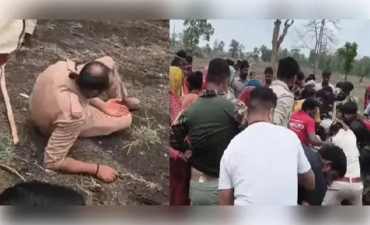 अवैध अतिक्रमण हटाने गई वन विभाग की टीम पर पथराव, वनकर्मियों ने मांगी सुरक्षा