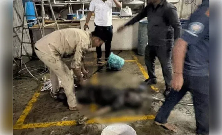 गुजरात के सूरत में ईटीपी प्लांट की टंकी में उतरे 4 सफाई कर्मियों की मौत