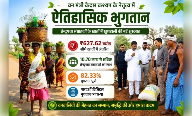 छत्तीसगढ़: तेन्दूपत्ता संग्राहकों के खातों में अब तक 627.62 करोड़ अंतरित, प्रक्रिया ने पकड़ी रफ्तार