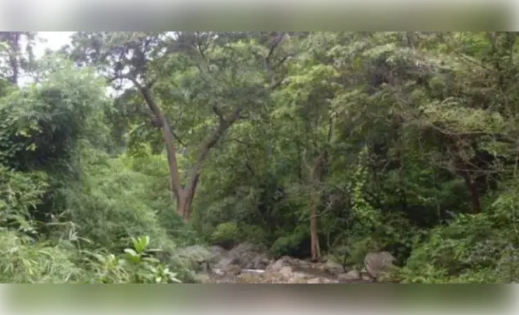 प्रशासन सख्त : भूमि विवादों के निस्तारण को लेकर सख्ती, आईजीआरएस प्रकरणों की होगी पुनः जांच