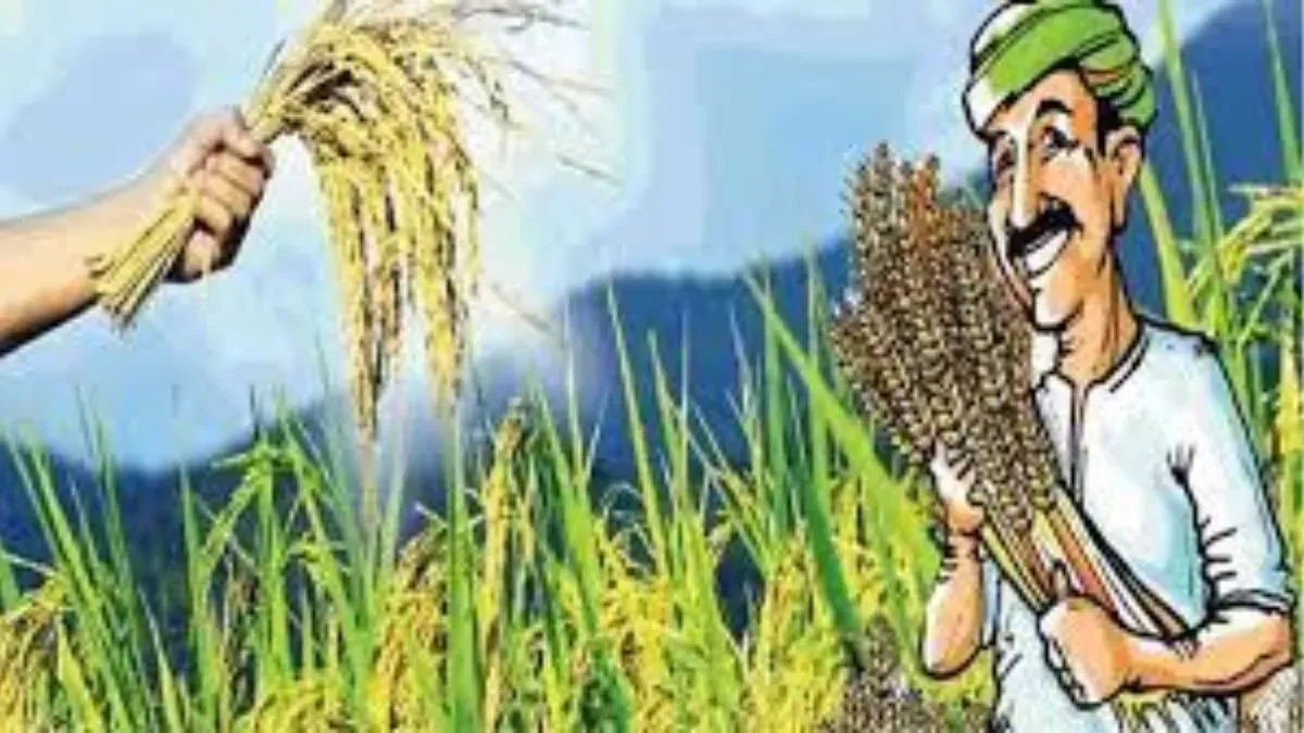 बासमती की खेती से चमकेगी किसानों की किस्मत