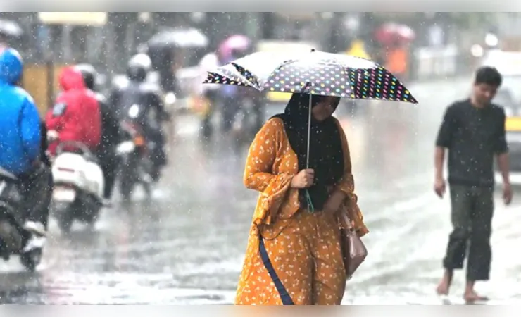 मध्य प्रदेश: अगले सप्ताह मानसून दस्तक संभव, कई जिलों में बारिश-आंधी अलर्ट जारी
