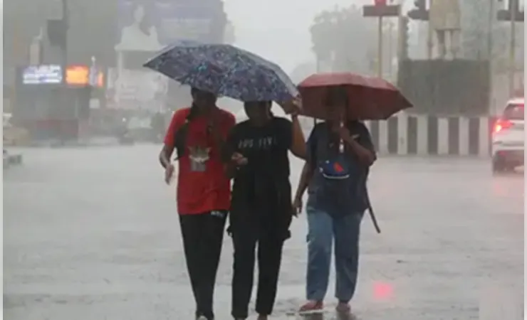 मध्य प्रदेश के 50 जिलों में बारिश का अलर्ट, पांच जिलों में भारी वर्षा की चेतावनी