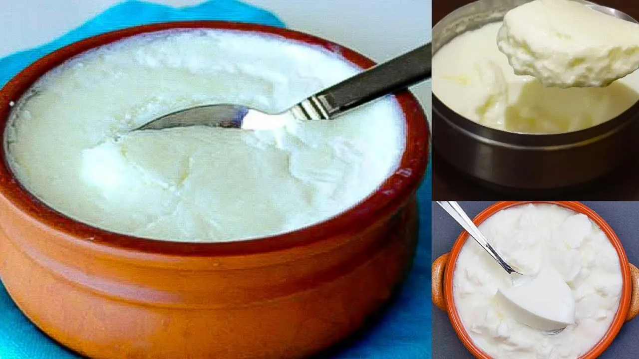अब कुकर में जमेगा गाढ़ा-मलाईदार दही, बस नमक वाली ट्रिक का करें इस्तेमाल