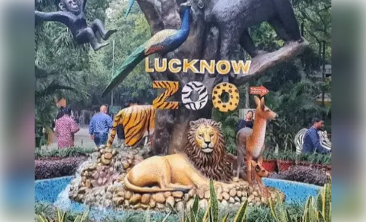 चिड़ियाघर में जल्द बढ़ेगी जानवरों की संख्या, नए वन्यजीवों की होगी एंट्री