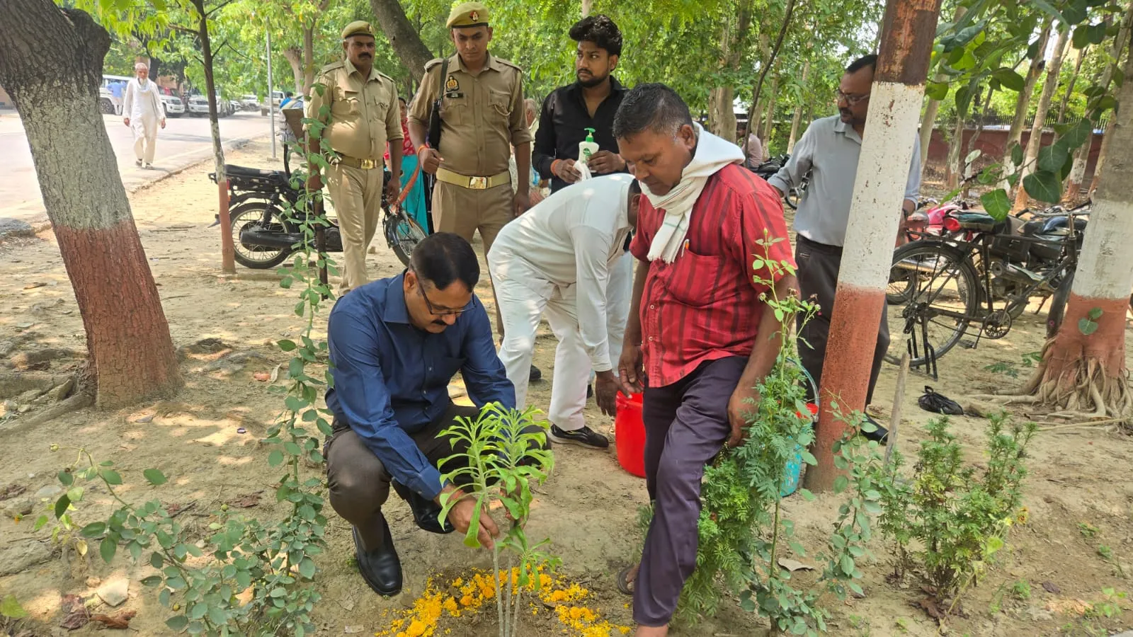 डीएम ने विश्व पर्यावरण दिवस के अवसर पर कलेक्ट्रेट परिसर में किया वृक्षारोपण