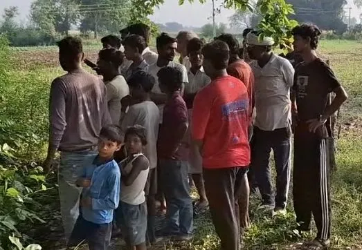 यूरिया लदी ट्रैक्टर ट्राली पलटी, चालक की मौत 