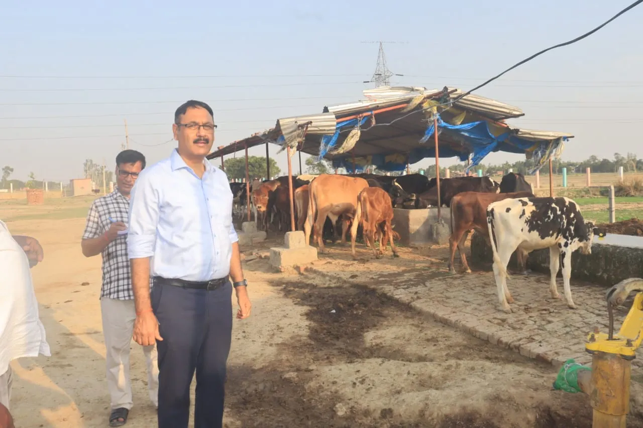 डीएम द्वारा गो-आश्रय स्थल मझौरा का किया गया स्थलीय निरीक्षण