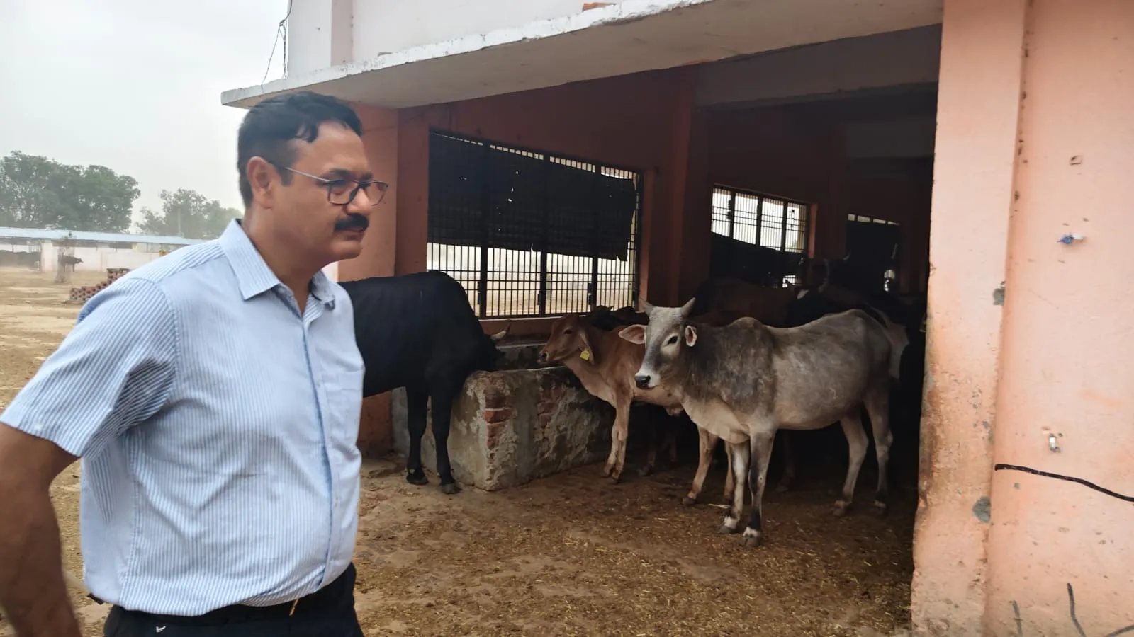 डीएम द्वारा स्थायी गौ आश्रय स्थल बढ़या ठाठर का किया गया निरीक्षण