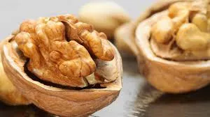 रोजाना खाएं मुट्ठी भर अखरोट, मिलेंगे ये कमाल के फायदे