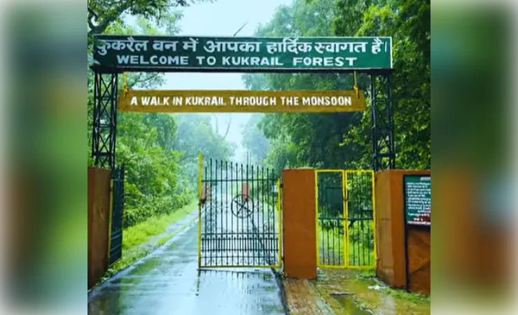 'एक पेड़ मां के नाम' की मुहिम पर सीएम योगी कल कुकरैल में रोपेंगे वृहद हरियाली का बीज