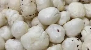 किसानों के लिए वाइट गोल्ड है यह मखाने की फसल
